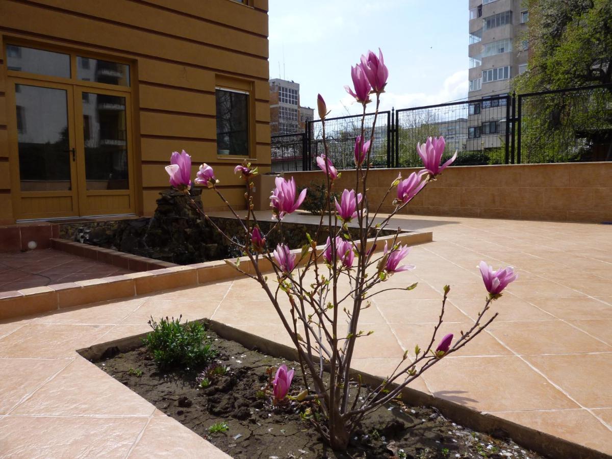 Casa Edwin Bed & Breakfast คอนสตันซา ภายนอก รูปภาพ